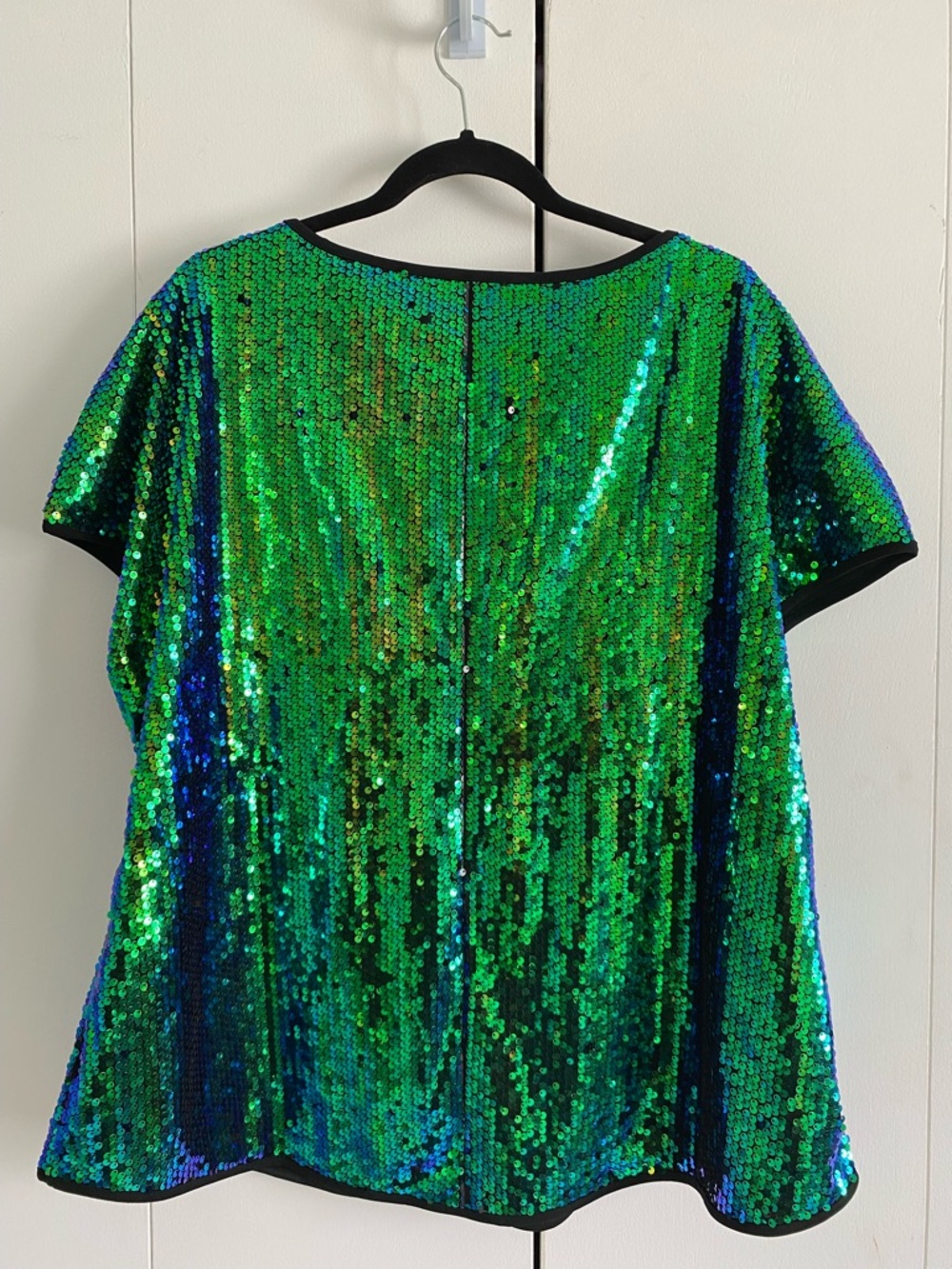 Green and Blue Iridescent Sequin Top - Picture 3 of 3